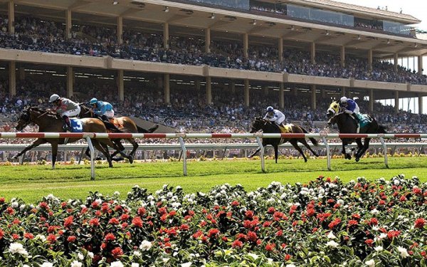 sandiego_20160201_11